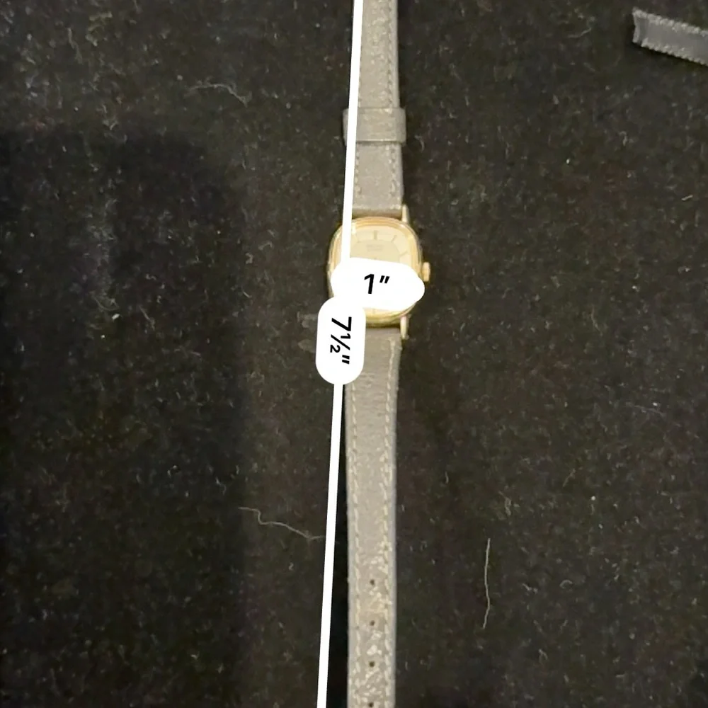 Seiko Gold-Tone Case Silver Dial Watch with Gray Strap